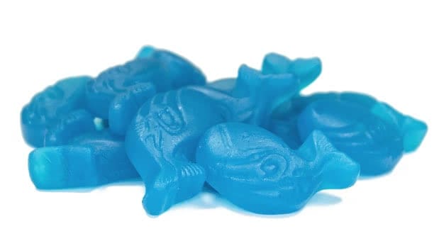 Blue Whale Gummies